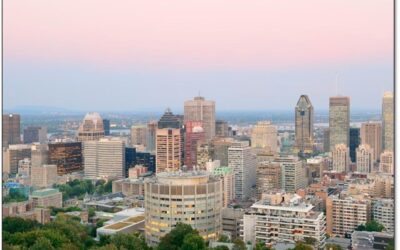 Explore Arlington: Top 5 Things to see and do in Arlington