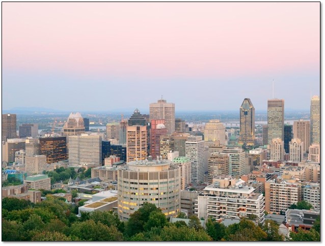 Explore Arlington: Top 5 Things to see and do in Arlington